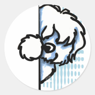 Het Katoen DE Tulear van de hoek Ronde Sticker