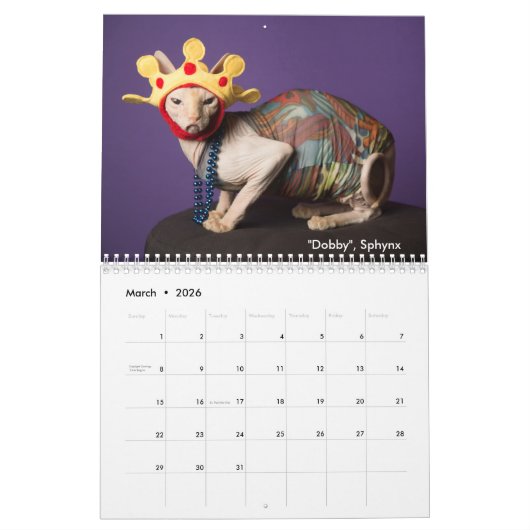 Het kattenpakket kalender (Mar 2026)