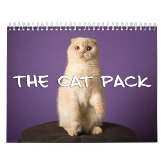 Het kattenpakket kalender
