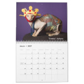 Het kattenpakket kalender (Mar 2027)