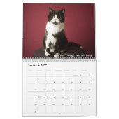 Het kattenpakket kalender (Jan 2027)