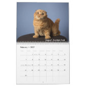 Het kattenpakket kalender (Feb 2027)