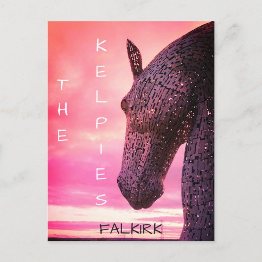 Het Kelpies-briefkaart, Helix Park, Falkirk, Scotl Briefkaart (Voorkant)