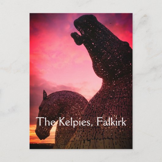 Het Kelpies-briefkaart, hoge paardenstaarten Briefkaart (Voorkant)