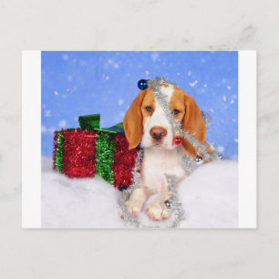 Het Kenwijsje van de brak Feestdagenkaart