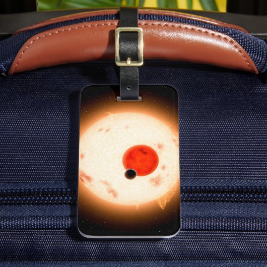 Het Kepler-16 systeem. Bagagelabel (Voorkant Insitu 2)