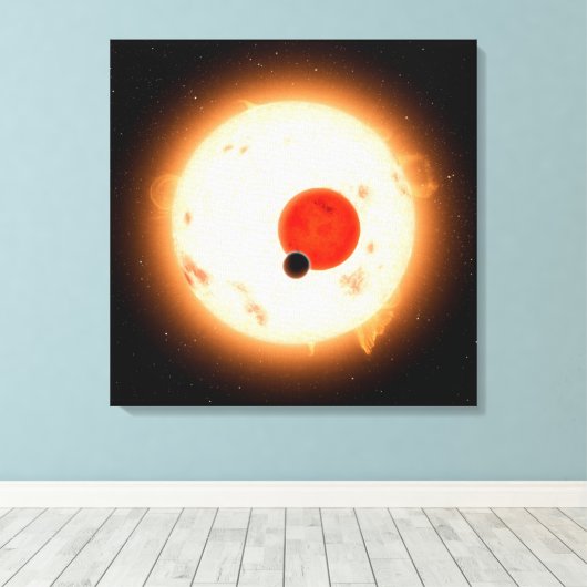 Het Kepler-16 systeem. Canvas Afdruk (Insitu (Houten vloer))