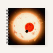 Het Kepler-16 systeem. Notitieboek (Voorkant)