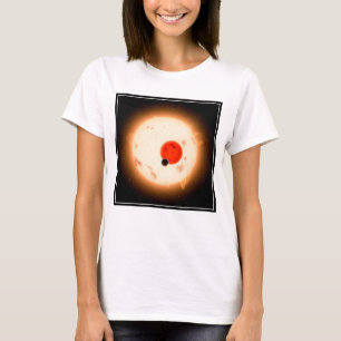Het Kepler-16 systeem. T-shirt