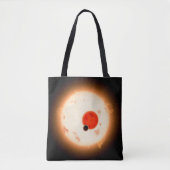 Het Kepler-16 systeem. Tote Bag (Voorkant)