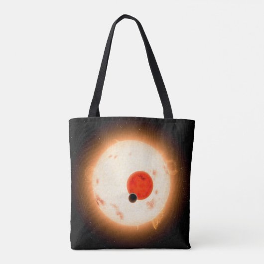 Het Kepler-16 systeem. Tote Bag (Achterkant)