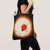Het Kepler-16 systeem. Tote Bag (Dichtbij)