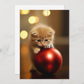 Het kerst kat feestdagenkaart (Voorkant / Achterkant)