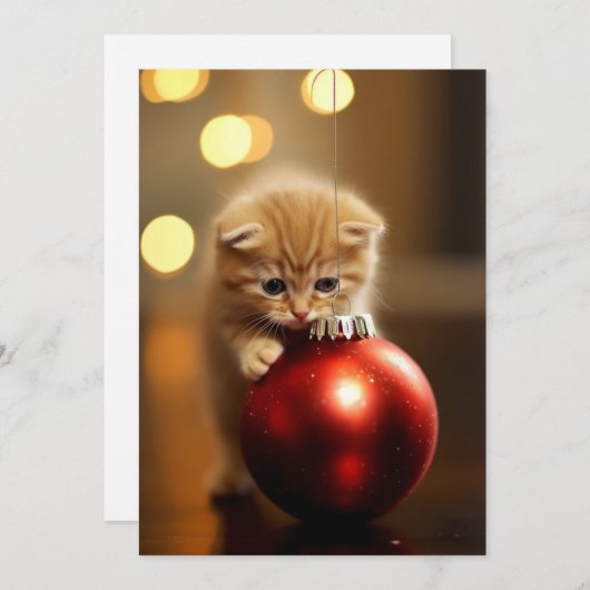 Het kerst kat feestdagenkaart (Voorkant / Achterkant)