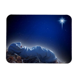 Het kerstcadeau magneet