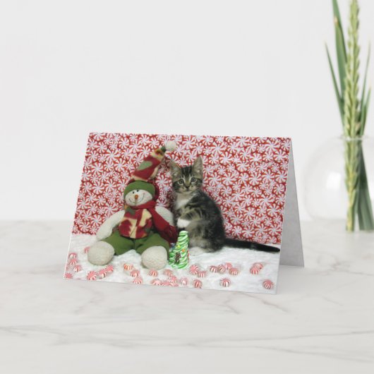 Het kerstportret van Bandit - Kat / Keuten Feestdagen Kaart (Voorkant)