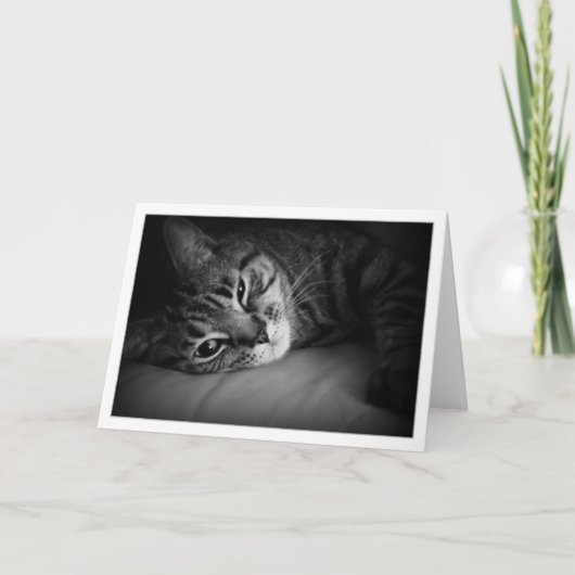 Het Kielzog van de ochtend Kaart (Voorkant)