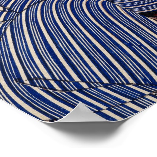 Het kijken alsof ze wil veranderen: het uiterlijk poster (Hoek)