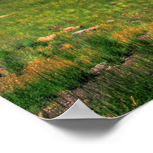 Het kijken in de Afstand Poster (Hoek)