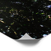 Het kijken naar grote bomen in het bos - Poster (Hoek)