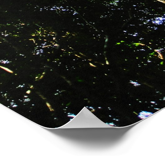 Het kijken naar grote bomen in het bos - Poster (Hoek)