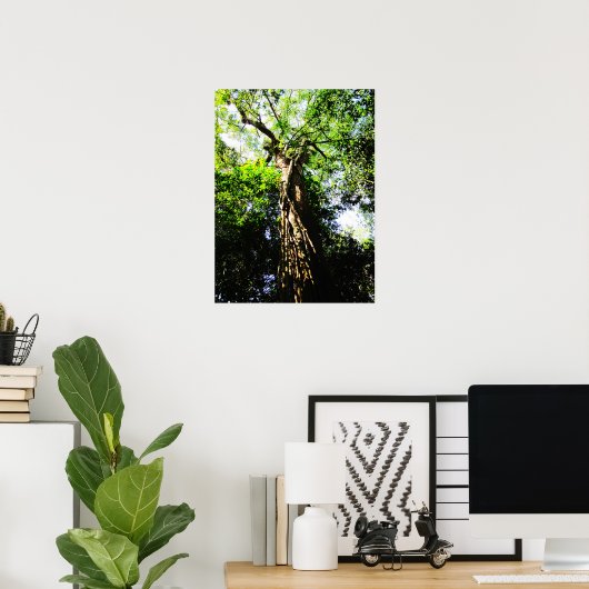 Het kijken naar grote bomen in het bos - Poster (Thuiskantoor)