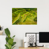 Het kijken neer op de gebieden van de Rijst Poster (Thuiskantoor)