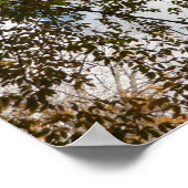 Het kijken omhoog kijkend op de Natuur van de Verl Poster (Hoek)