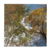 Het kijken omhoog kijkend op de Natuur van de Verl Tegeltje (Voorkant)