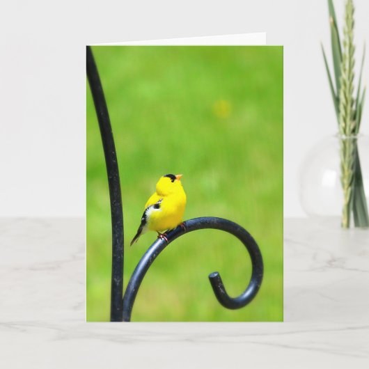 Het kijken op Wenskaart Kaart (Voorkant)