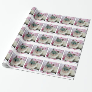 Het Kijken van de kat Cadeaupapier