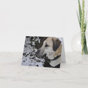 Het Kilo Notecard van de Hond van de Redding van Kaart
