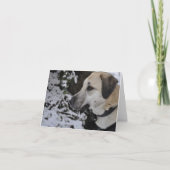 Het Kilo Notecard van de Hond van de Redding van Kaart (Voorkant)