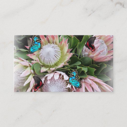 Het King Protea-Visitekaartje Visitekaartje (Voorkant)