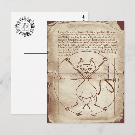 Het Kinky Vitruvian Kat Briefkaart (Voorkant / Achterkant)