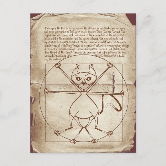 Het Kinky Vitruvian Kat Briefkaart (Voorkant)