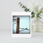 HET KISS-Briefkaart Briefkaart (Staand voorkant)