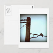 HET KISS-Briefkaart Briefkaart (Voorkant / Achterkant)