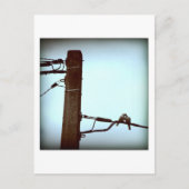 HET KISS-Briefkaart Briefkaart (Voorkant)