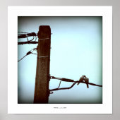 HET KISS-Poster Poster (Voorkant)