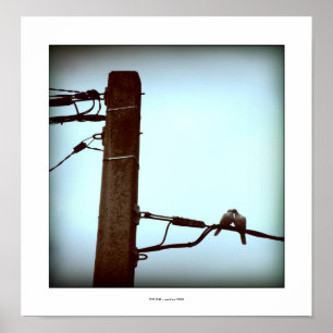 HET KISS-Poster Poster