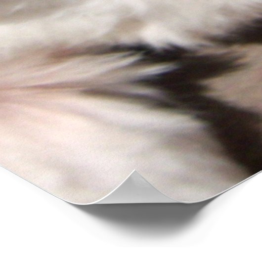 Het Kiss-Poster Poster (Hoek)