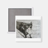 Het kitten op de magneet (Voorkant / Achterkant)