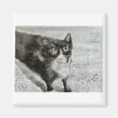 Het kitten op de magneet (Voorkant)