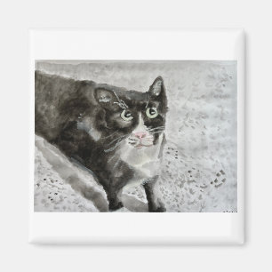 Het kitten op de magneet