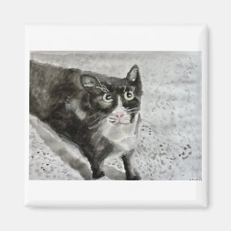 Het kitten op de magneet