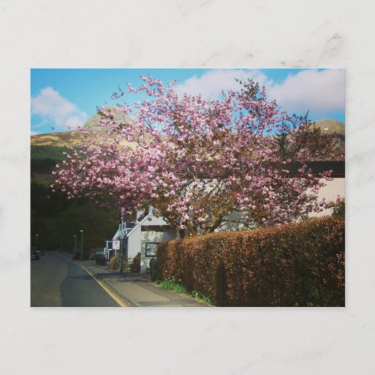 Het kleine dorp Glencoe, Schotland Briefkaart (Voorkant)