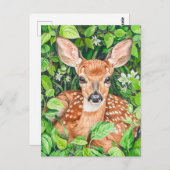 Het kleine hertje in Lush Meadow Briefkaart (Voorkant / Achterkant)