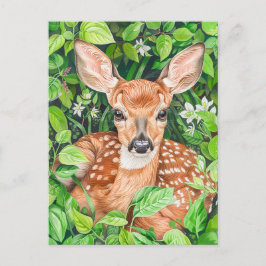 Het kleine hertje in Lush Meadow Briefkaart