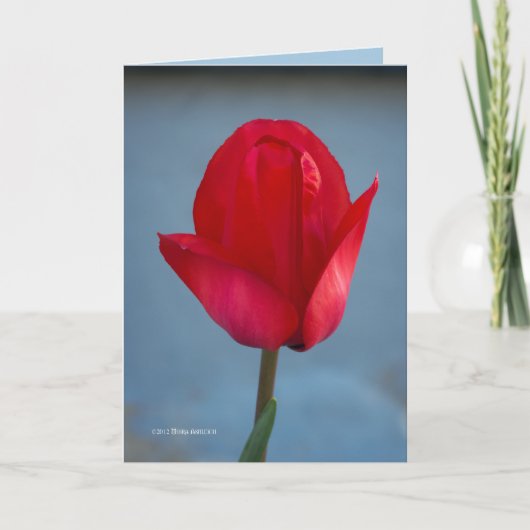 Het kleurenrood kaart (Voorkant)